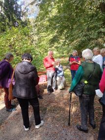 IMG-20241008-WA0008